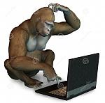 Click image for larger version. 

Name:	gorilla-laptop.jpg 
Views:	206 
Size:	10.1 KB 
ID:	116956